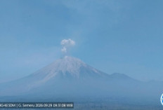 Gunung Semeru Kembali Berdentum, BPBD Lumajang Pastikan Kondisi Aman