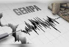 Gempa M5,8 Guncang Jailolo Maluku Utara, Terasa Hingga Manado