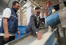 Jaga Mutu dan Kualitas Beras, BULOG Ajak Pengusaha Penggilingan Padi Tingkatkan Standar Pengolahan