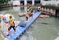 Tangani Sampah Pascabanjir, DLH Jakarta Kerahkan 1.790 Personel di 25 Titik Rawan Genangan