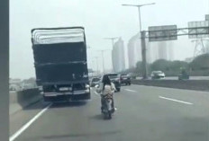 Viral Pemotor Wanita yang Masuk Jalan Tol di Pademangan Ternyata Depresi Sejak Orangtuanya Meninggal