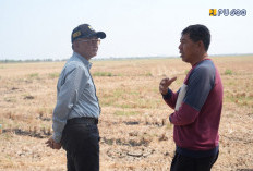 Menteri Dody Instruksikan Penanganan Cepat Kekeringan Dan Banjir Rob di Demak
