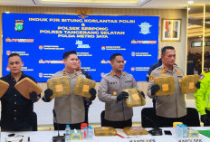 Detik-detik Pengungkapan 40 Kg Ganja di Tol Bitung-Serpong, Pelaku datang dari Sumut