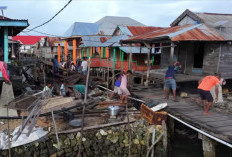 Bule Denmark Perbaiki Jembatan di Pulau Sampela Wakatobi, Netizen: Betahun-tahun Kemana Aja Pemerintah