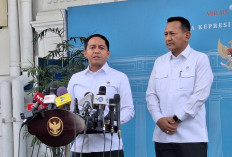 Habitat Menyusut, Prabowo Siapkan 90.000 Hektare Hutan untuk Gajah Sumatera