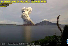 Viral di Medsos, BMKGPastikan Video Erupsi Gunung Anak Krakatau Hoaks