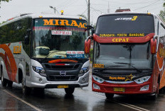 Detik-detik Bus Mira vs Sugeng Rahayu Bersenggolan Terekam CCTV, Aksi Saling Salip Jadi Sorotan