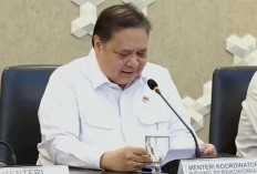 Redam Lonjakan Harga Tiket Pesawat, Pemerintah Kucurkan Subsidi PPN Rp2,6 Triliun