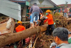 Banjir Bandang Sumbar Telan 43 Korban Jiwa, Sejumlah Jasad dalam Kondisi Tak Utuh