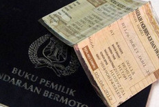 7 Provinsi Buka Pemutihan Pajak Juni hingga Desember 2026, Cek Jadwal Daerahmu!