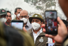 Karhutla Makin Mengganas, Kemenhut Bekukan Izin 5 Perusahaan di Kalbar