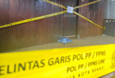 Terbongkarnya Praktik Cabul Berkedok Pengobatan Alternatif Bermula dari Laporan Warga ke Wali Kota Bekasi