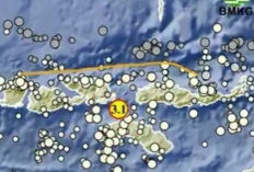 Gempa Magnitudo 3,1 di Tambolaka NTT Hari Ini 22 Mei 2024