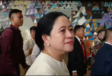 NTT Tidak Sendirian, DPR dan Pemerintah Percepat Penanganan Pascagempa
