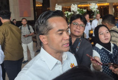Anindya Bakrie Beberkan Isi Pertemuan dengan Luhut, Bahas Apa?