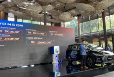 Harga BYD M6 DM Mulai Rp 298.000.000