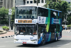 TransJakarta Sediakan Bus Tingkat Gratis untuk Liburan Tahun Baru 2026, Cek Titik Keberangkatannya