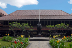 Lulusan Kuliah Mahasiswa FH UI Kerja Apa? Jurusan Viral Dugaan Pelecehan Seksual