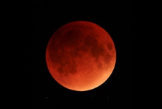 Jadwal dan Link Live Streaming Gerhana Bulan Total 3 Maret 2026 Resmi BMKG 