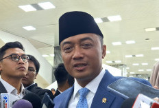 Negara Kembali Kuasai 4.09 Juta Hektare Kebun Sawit Ilegal, 900 Hektare Dikembalikan Jadi Hutan Konservasi