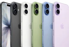 Harga iPhone Terbaru Februari 2026 Diskon hingga Rp1,5 juta di iBox dan Digimap, HP Baru untuk Lebaran