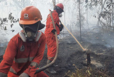 Pemerintah Siagakan 12.880 Personel dan Sumur Bor Tangani Karhutla di Kalimantan