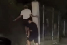 Hutan Kota Cawang Jadi Sarang LGBT, Terobos Celah antara Dinding dan Pagar di Tengah Malam