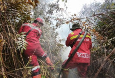 Kebakaran Lahan di Kawasan Merbau Pelalawan Berhasil Dikendalikan, Tim Gabungan Lakukan Pendinginan