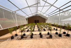 Kemdiktisaintek Ajak PTS Bangun Techno Park, Universitas Gunadarma Jadi Percontohan