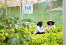 Komitmen ESG PNM Berbuah Penghargaan Bergengsi di Indonesia Sustainability Award