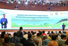  PLN Gandeng Kejaksaan Perkuat Fondasi Tata Kelola untuk Akselerasi Transisi Energi