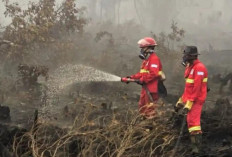 Asap Karhutla Makin Parah, Sejumlah Penerbangan di Kalimantan Barat Terpaksa Dibatalkan
