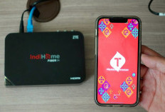 Pernyataan Telkomsel Soal Indihome Gangguan Hari Ini, Cek daftar Kontak CS Bisa Dihubungi dan Cara Lapor Internet Down