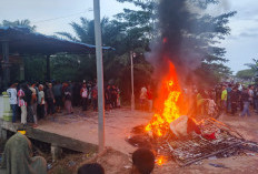 Aksi Demo Anti Narkoba di Rohil Berubah Ricuh, Massa Bakar Rumah Diduga Bandar