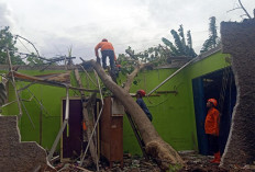 Angin Puting Beliung di Tambun Selatan Rusak 47 Rumah