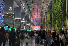 Terbaru! Bandara Soekarno-Hatta Sudah Kembali Layani Operasional Penerbangan Selasa Dini Hari