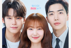 Nonton Drakor My Bias, My Boss Episode 1-12 Sub Indo, Cinta Segitiga Karyawan, Idol dan CEO