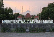 Daya Tampung UGM di SNBT 2026 Terbanyak, Buruan Cek Peluang Lolos di Kampus Favorit!