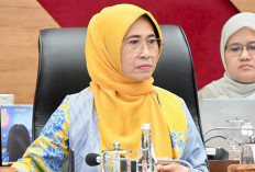 Soal Bahasa Prancis Masuk Kurikulum, Komisi X DPR Nilai Perlu Kajian Mendalam