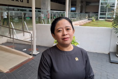 Pendidikan Gratis hingga Kuliah Jadi Wacana Prabowo, Puan: Lihat Dulu Situasi Global dan Kekuatan APBN