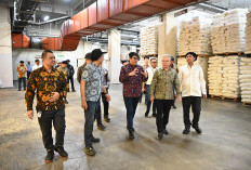 Stok Plastik Nasional Aman, Wamen Faisol Minta Industri Jaga Harga