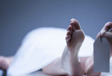 Kronologi Dokter PPDS Unri Ditemukan Tewas di Dekat RSUD Tengku Rafian Siak, Kemenkes Buka Suara