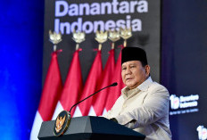 Presiden Prabowo Pacu Transisi Energi, Targetkan 100 Gigawatt Tenaga Surya dan Optimalkan Geotermal
