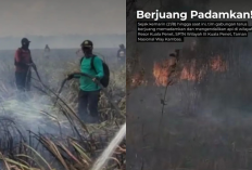 Kawasan Taman Nasional Way Kambas Terbakar, Tim Gabungan Gerak Cepat Padamkan Api