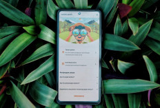 BNI Ajak Nasabah Kurangi Emisi Lewat Fitur wondr earth, Hitung Jejak Karbon hingga Tanam Pohon