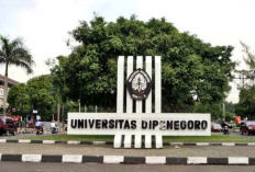 Jalur Mandiri Undip 2025: Jadwal Seleksi, Persyaratan dan Cara Daftar
