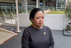 Kepala Daerah Beruntun Kena OTT dari Wali Kota Madiun hingga Bupati Pekalongan, Ini Respons Puan 