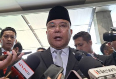 Status Mirwan MS Bupati Aceh Selatan, Dasco: Serahkan ke DPRD Aceh  