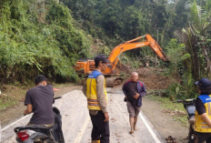 Jalan Nasional Sumbar-Jambi Terputus akibat Longsor, Akses di 4 Titik Belum Pulih