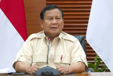 Prabowo Pastikan Kebutuhan Pokok Tidak Kena PPN 12%: Beras, Daging, Ikan hingga Jasa Pendidikan Bebas PPN! 